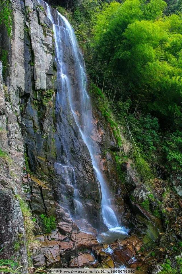 泼墨挥毫间年味渐浓,曹庄花卉市场送“福”礼